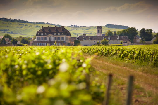 Vignoble Beaunois