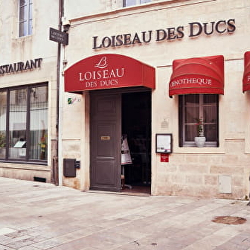 Loiseau des Ducs - DIJON