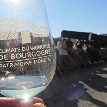 VELOVITAMINE - AVOSNES