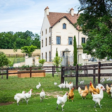 DOMAINE DE RYMSKA