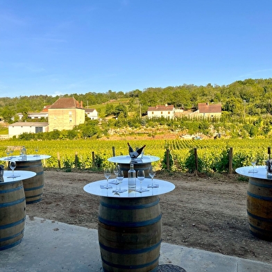 MAISON PROSPER MAUFOUX - CHATEAU DE SAINT-AUBIN