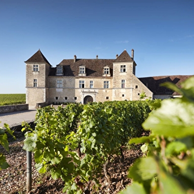 CHATEAU DU CLOS DE VOUGEOT