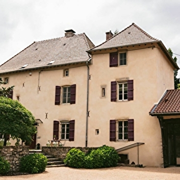 Tomette Singulière - CHATEAU