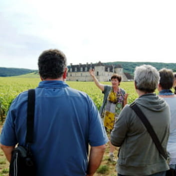 Clos de bourgogne, découverte des secrets 'vigne et vin' - GEVREY-CHAMBERTIN