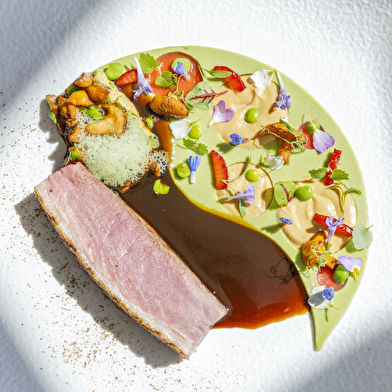 LA CÔTE SAINT-JACQUES & SPA