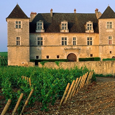 OFFICE DE TOURISME DE DIJON METROPOLE