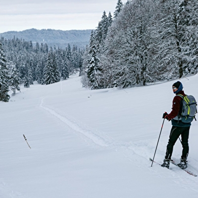 OTENTIK