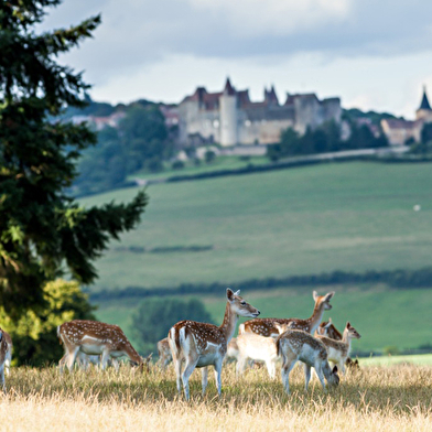 CHATEAU SAINTE SABINE