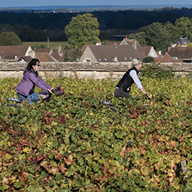 BOURGOGNE ÉVASION  by ACTIVE TOURS