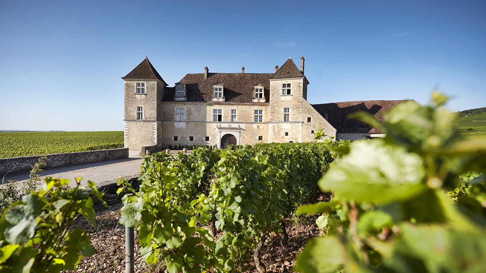 CHATEAU DU CLOS DE VOUGEOT