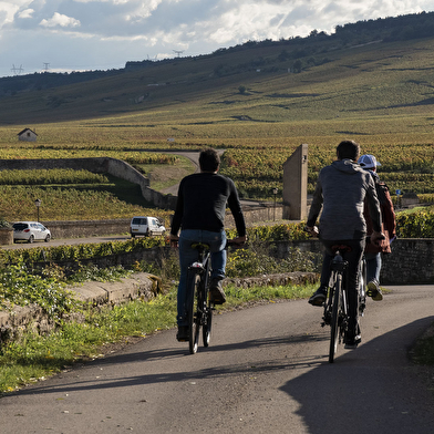 BOURGOGNE EVASION BY ACTIVE TOURS NUITS