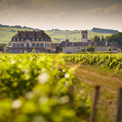 BEAUNE ET PAYS BEAUNOIS