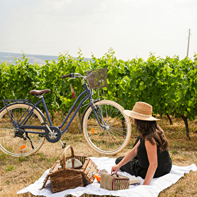 LA CÔTE SAINT-JACQUES & SPA