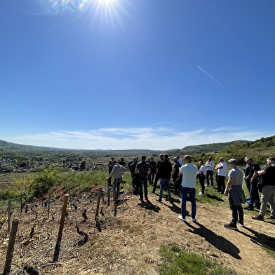 Société Vin et Terroirs marque Wine and tours